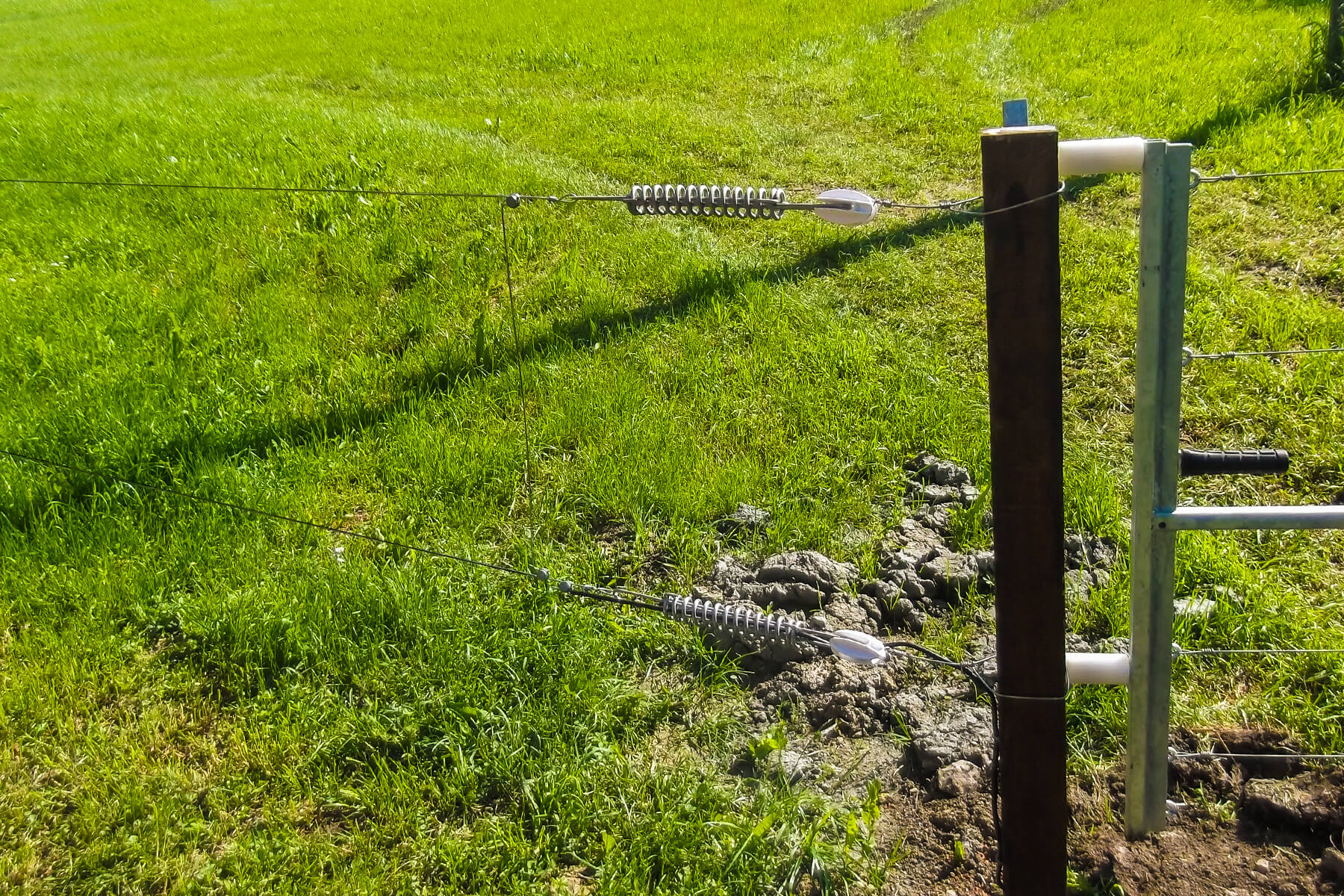 Weidezaunisolatoren für elektrische Weidezaunanlagen von Dewald Garten & Zaun aus Ingelfingen-Dörrenzimmern, Kreis Küzelsau, Hohenlohe